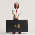 Conjunto de Balones Historical Pro Copa Mundial de la FIFA™ image number null