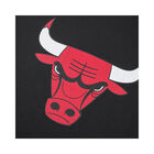 Fexpro Tshirt Chicago Bulls image number null